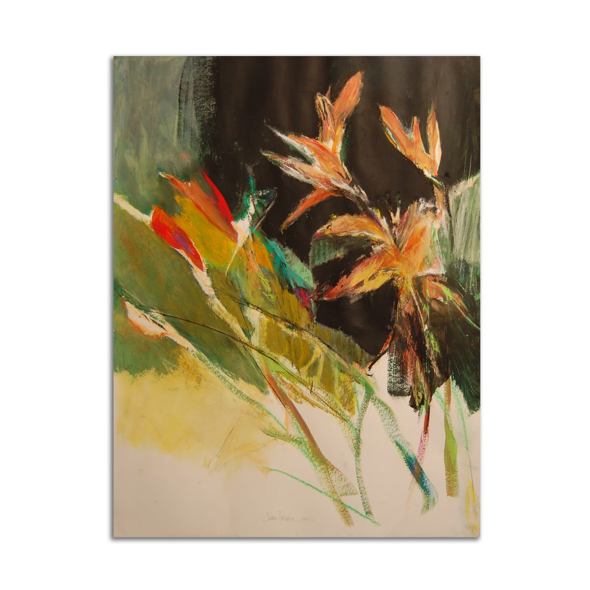 New Tiger Lilies by Jane Parker 