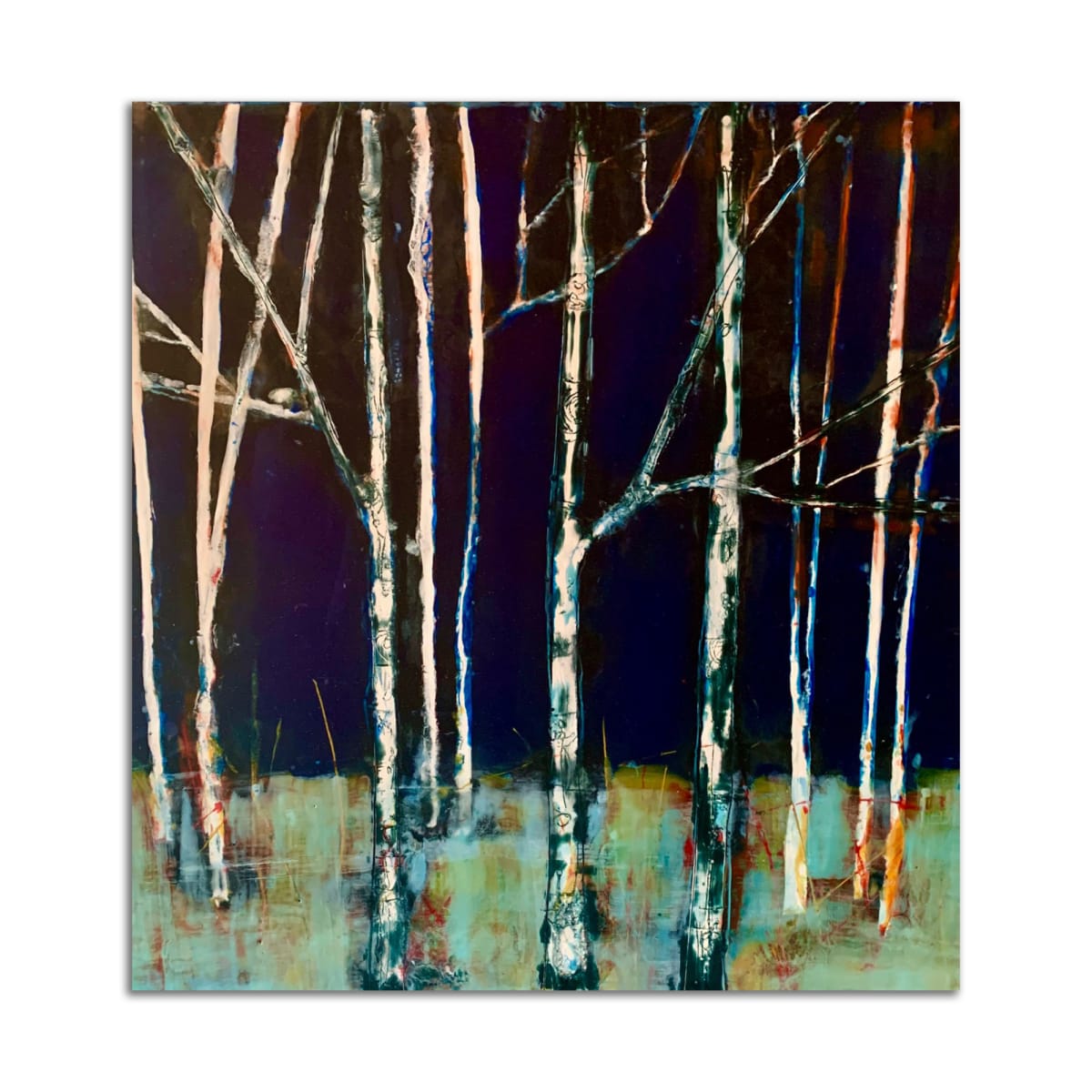 Night Birch l by T.D. Scott 