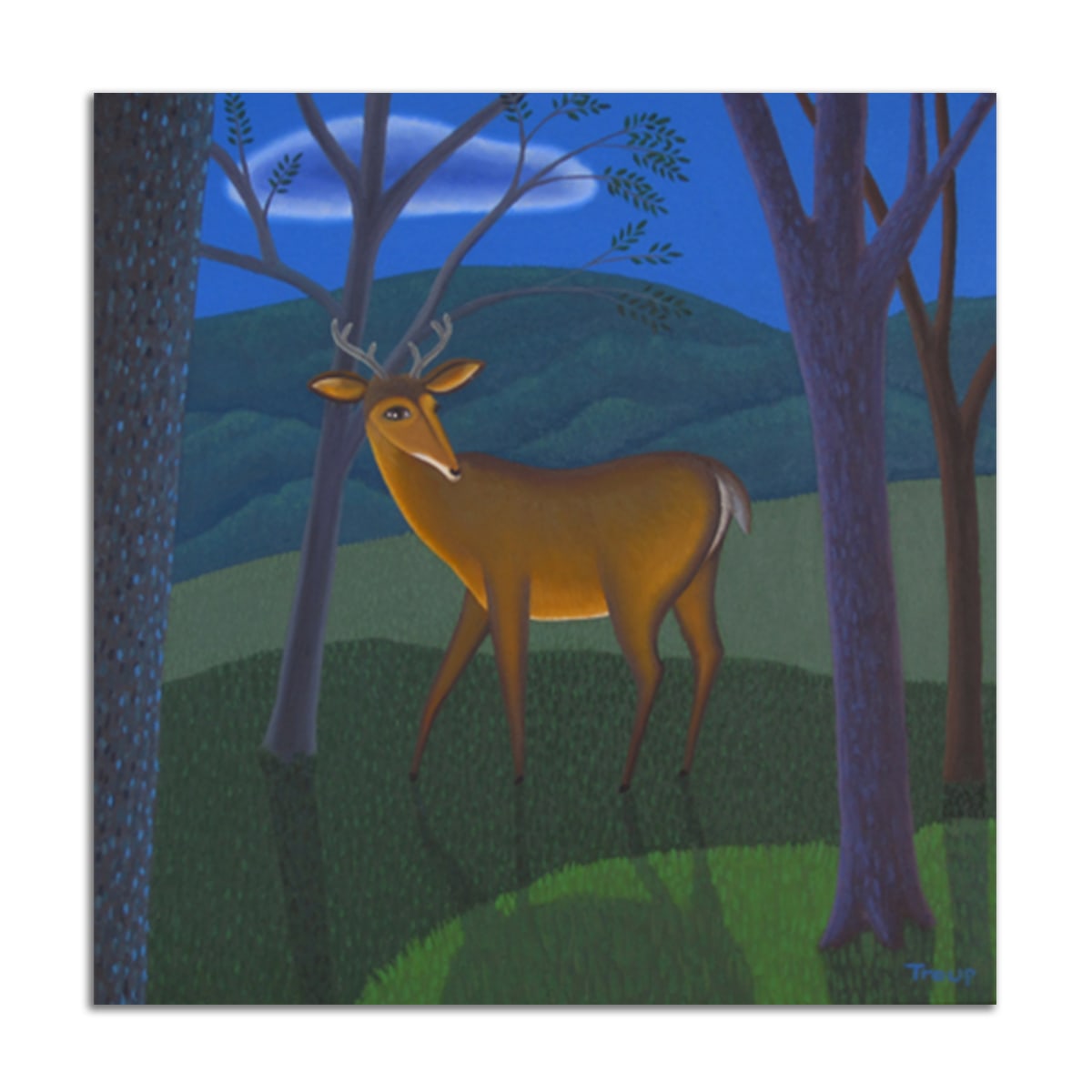 Night Deer by Jane Troup 