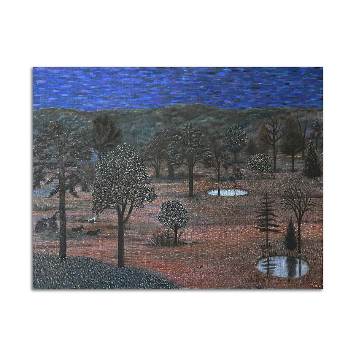 Night Field by Jane Troup 