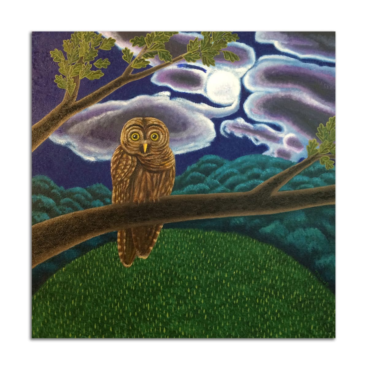 Night Owl by Jane Troup 