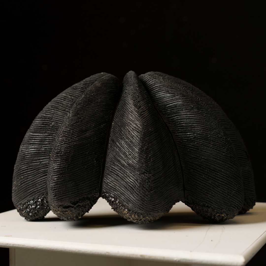 Koju soku ati Afrocombs by Joy Okokon 