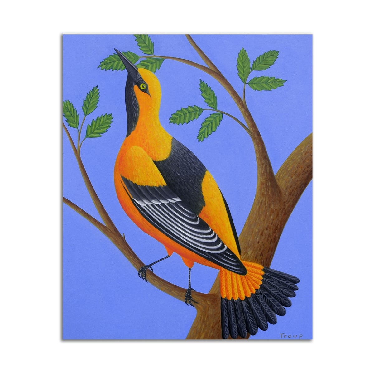 Orange Bird Print by Jane Troup 