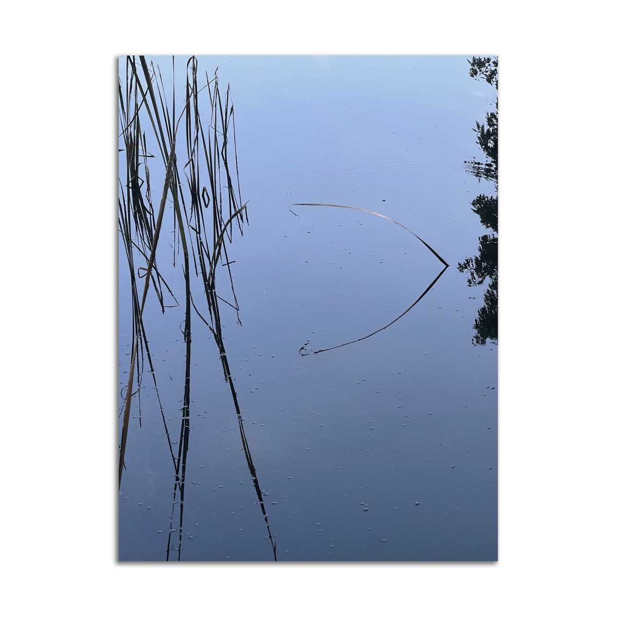 Poetic Point by Lil Olive, Image 1.