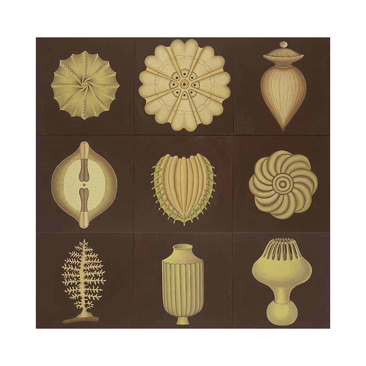 Protozoa by Jane Troup 