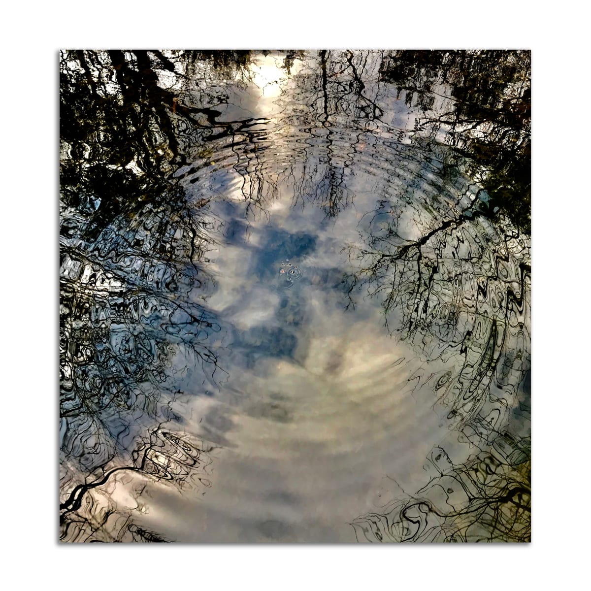 Rabbit Hole by Lil Olive, Image 1.