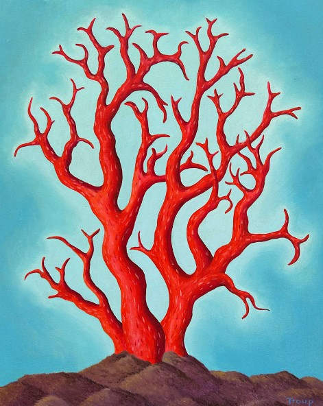 Red Coral by Jane Troup, Image 5.