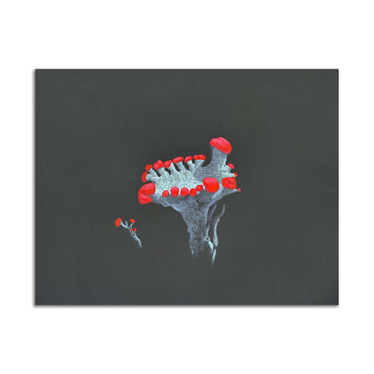 Red Soldier by Jane Troup 