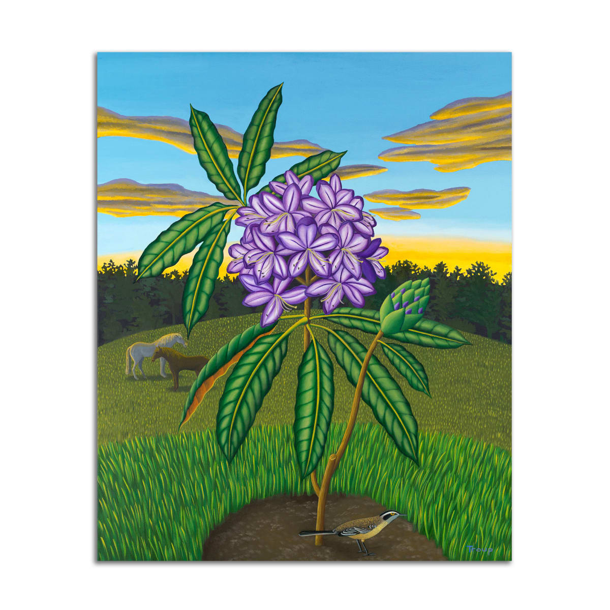 Rhododendron by Jane Troup 