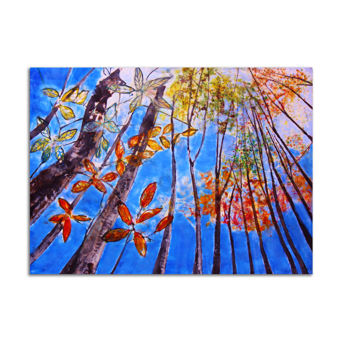 Rise by TD Scott, Image 1.