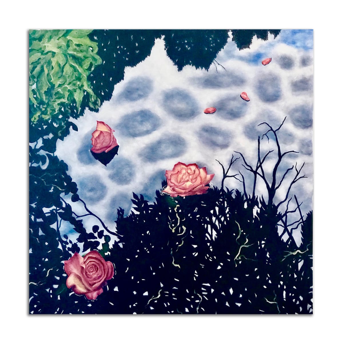 Rose Contrast by Lil Olive, Image 1.