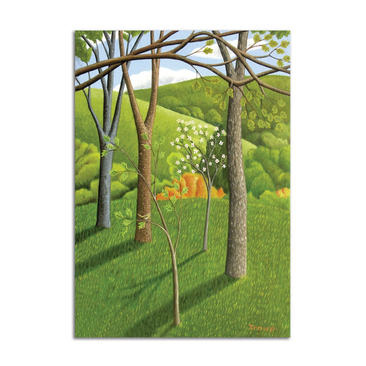 Saplings by Jane Troup 