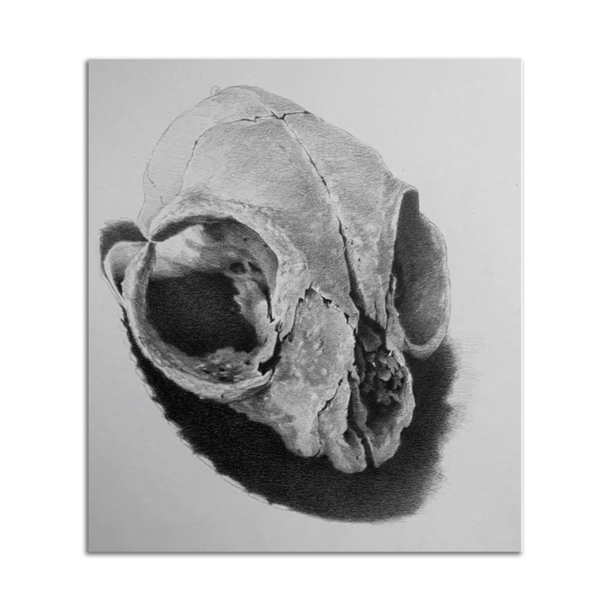 AA/DD by Sean Lyman, Image 2.