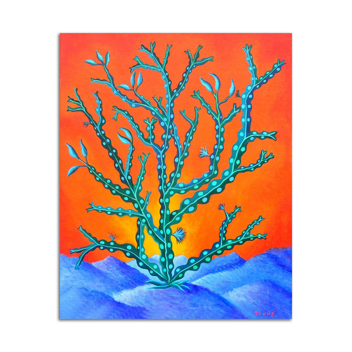 Seaweed by Jane Troup 