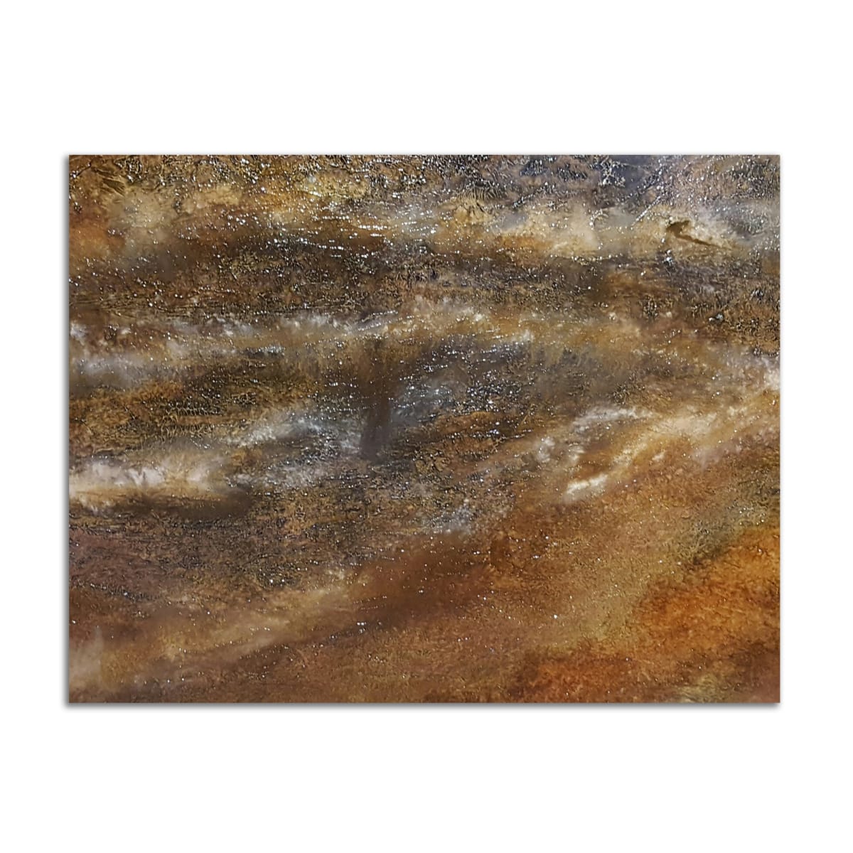 Sedimentary Crust by Shelly Forbes 