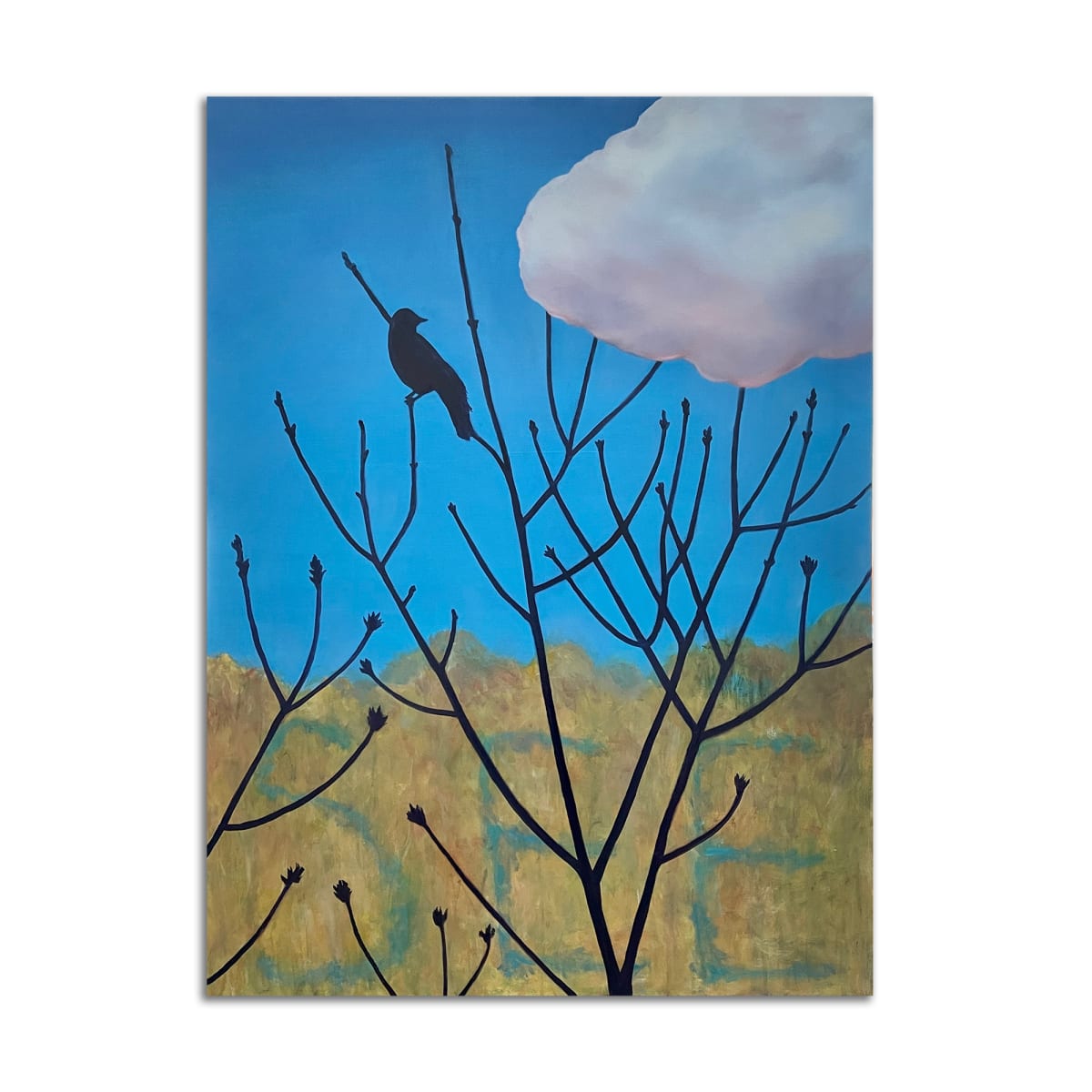 See by Lil Olive, Image 1.
