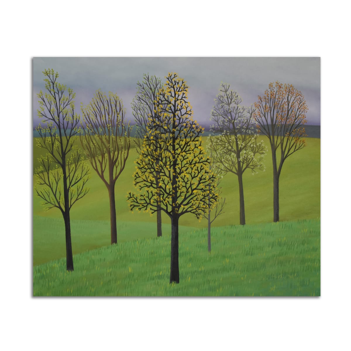 Seven Trees by Jane Troup, Image 1.