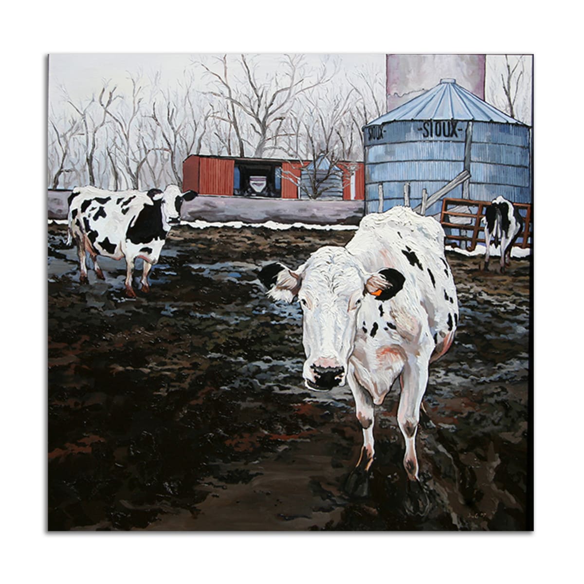 Sioux City Cows by Jared Gillett 