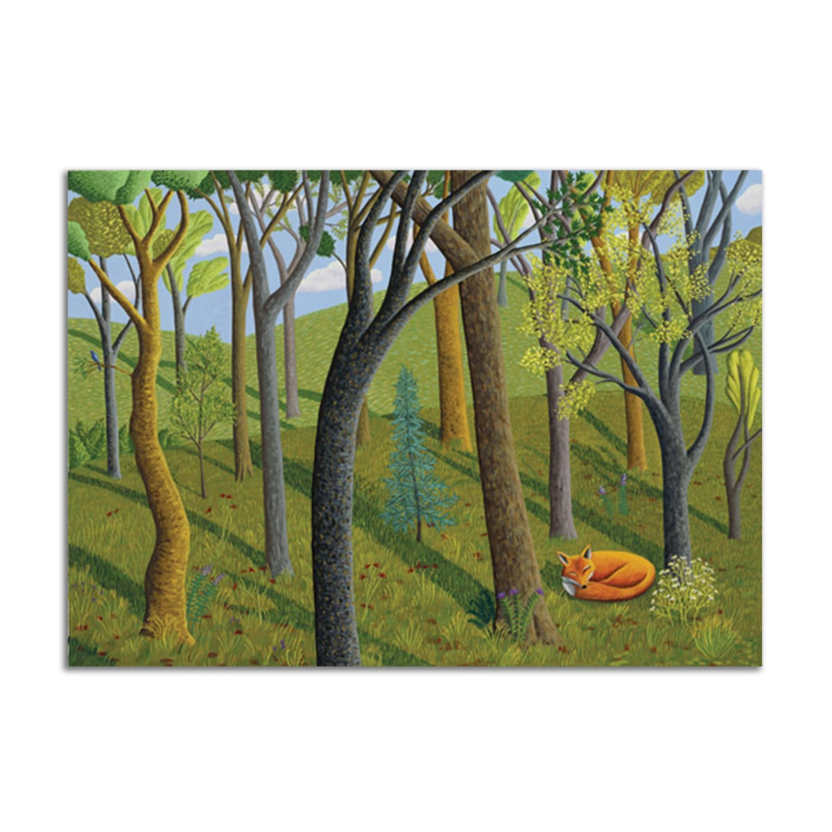 Sleeping Fox by Jane Troup, Image 1.