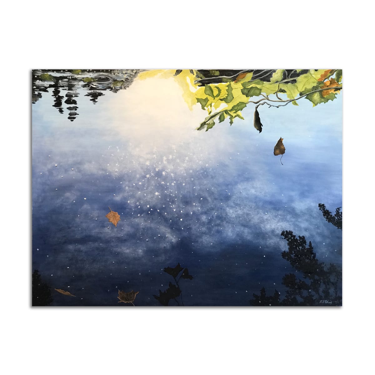 Somewhere Between by Lil Olive 