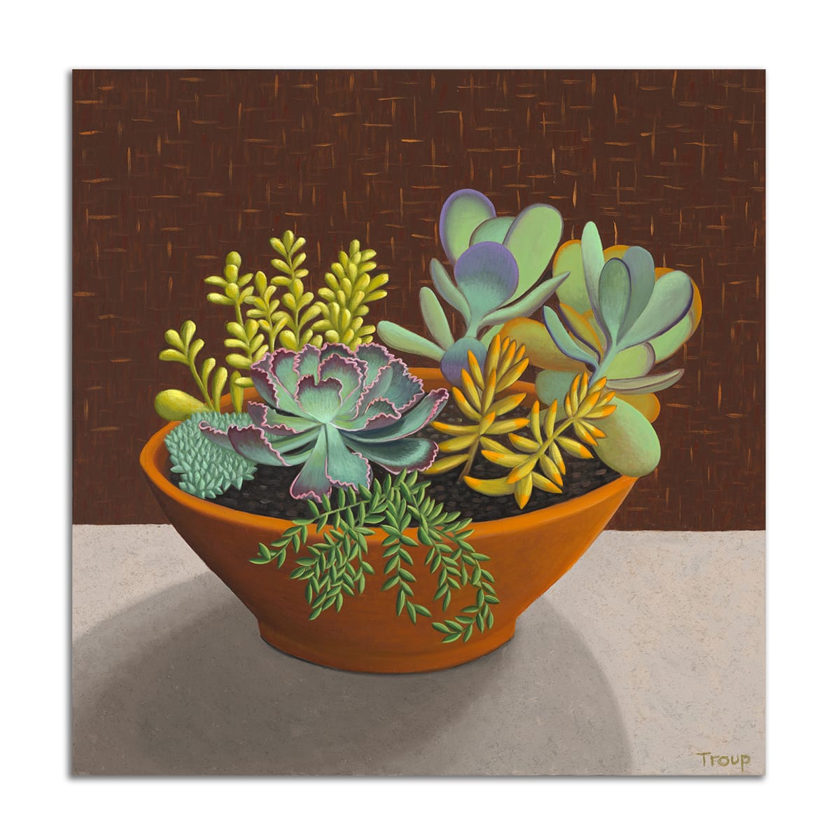 Succulents by Jane Troup 