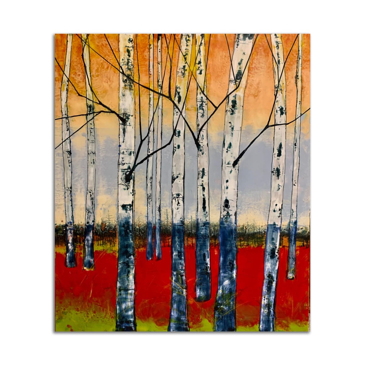 Sunset Birch  l by TD Scott, Image 1.