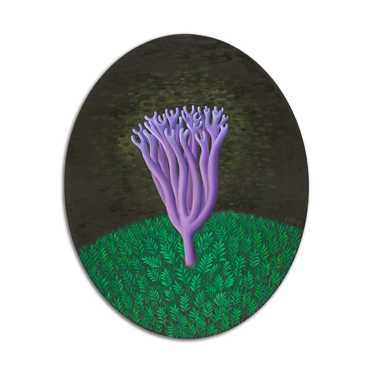 Sweet Dreams by Jane Troup 