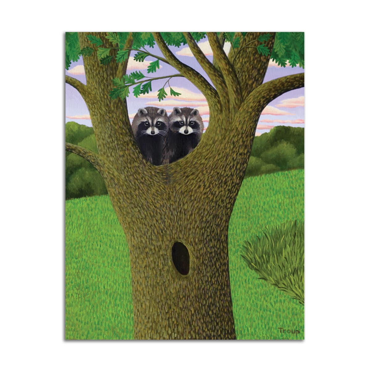 The Raccoons by Jane Troup 