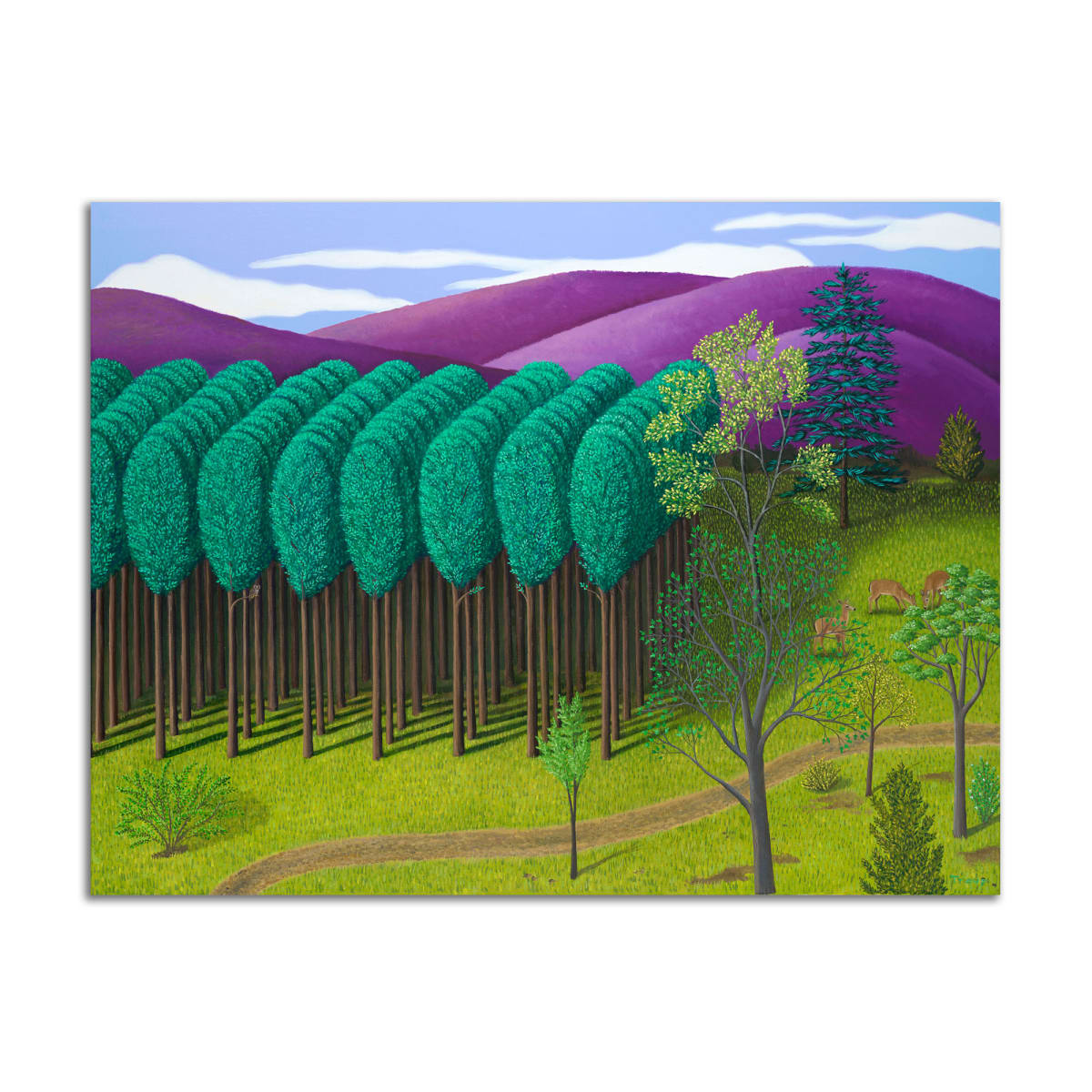 The Road by Jane Troup, Image 1.