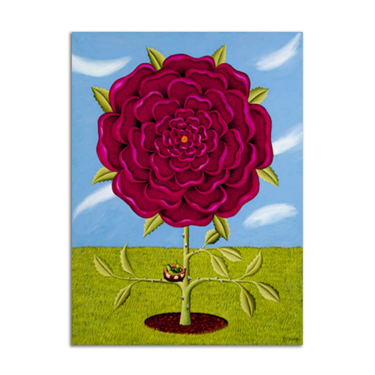 The Rose by Jane Troup 