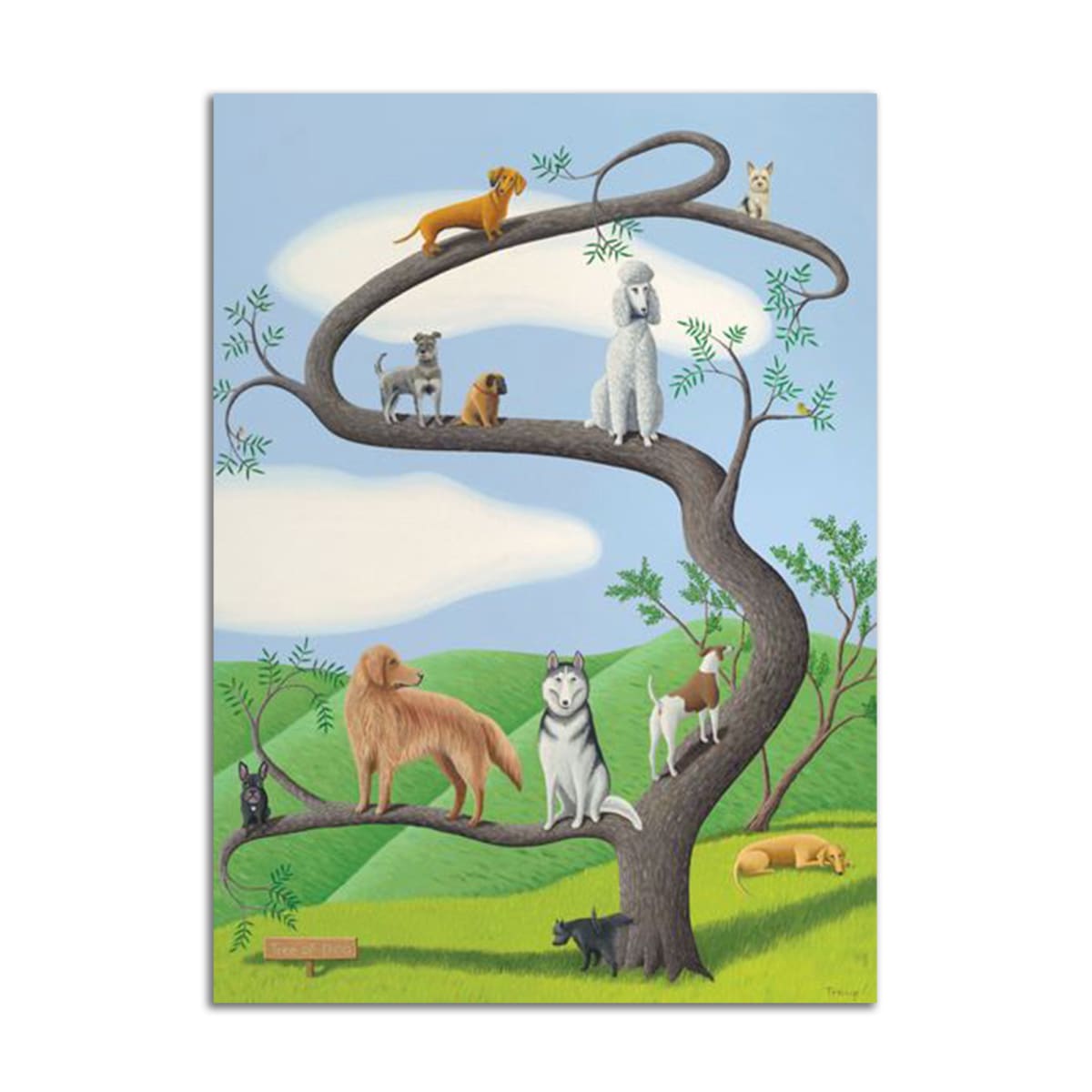 Tree of Dog by Jane Troup 