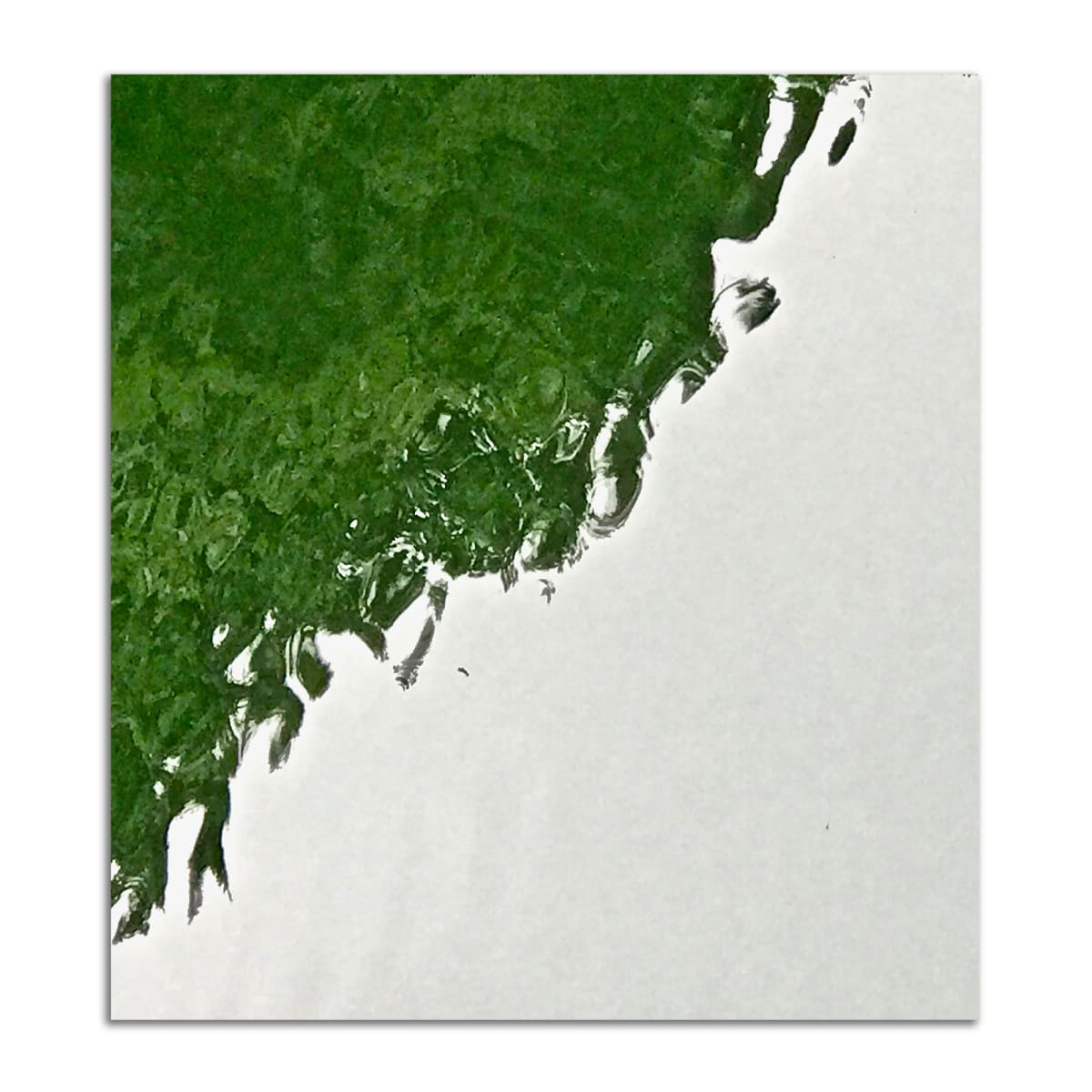 Trees Still Green by Lil Olive, Image 1.