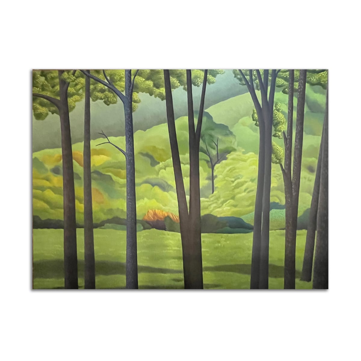 Trees and Hill by Jane Troup 