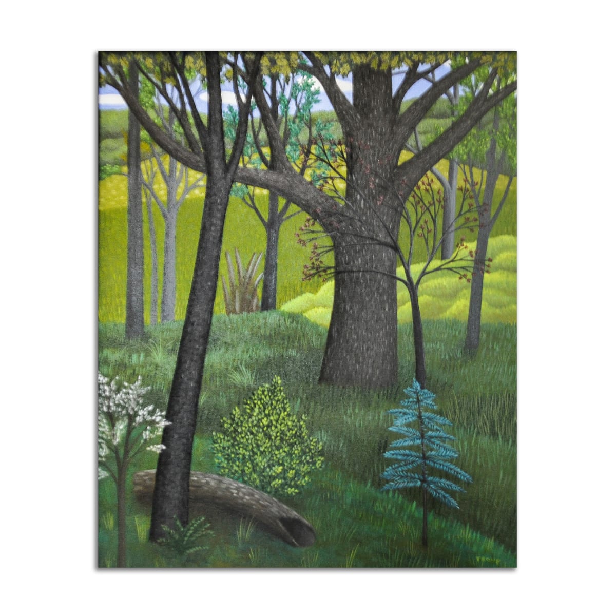 Trees and Log by Jane Troup, Image 1.