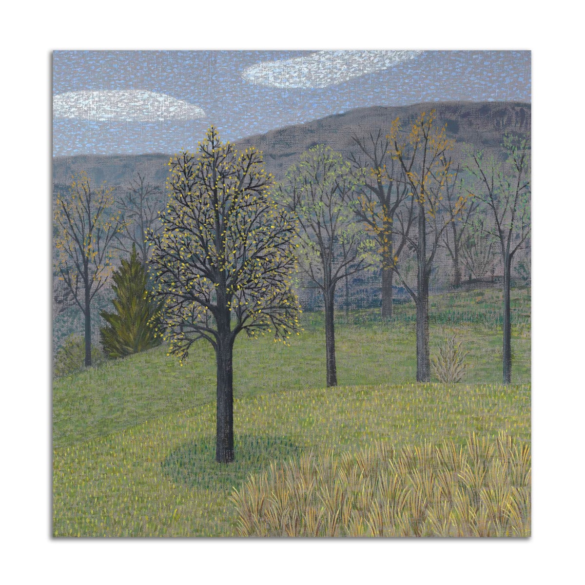 Trees on Gray by Jane Troup, Image 1.