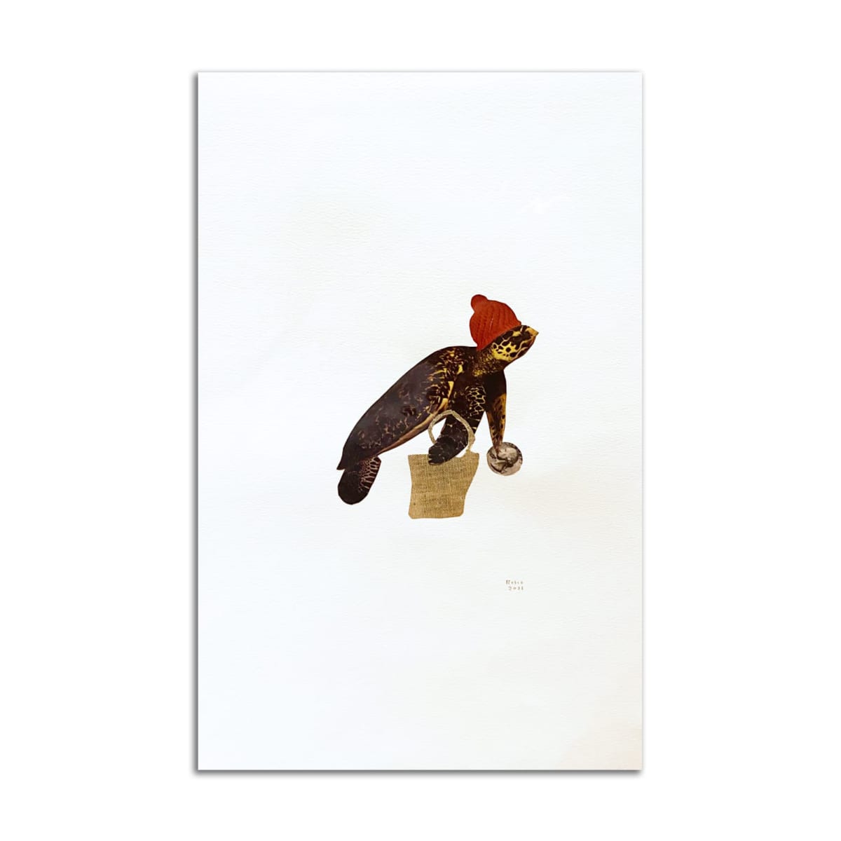 Turtle at Aldi's by Rosie Winstead, Image 2.
