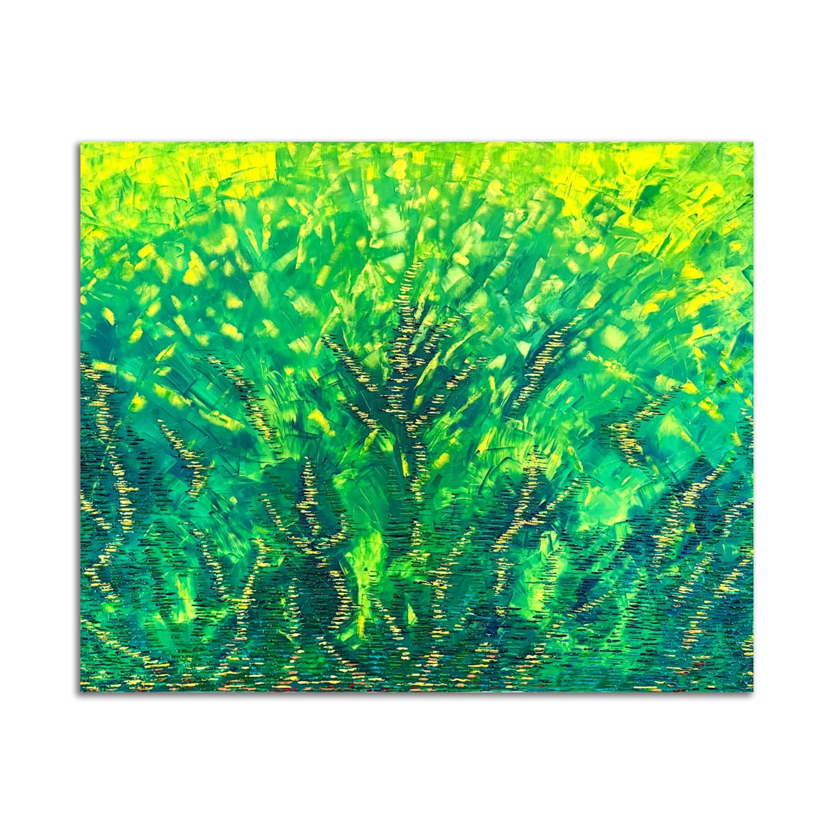Variegated Yucca by J.D. Hull, Image 2.