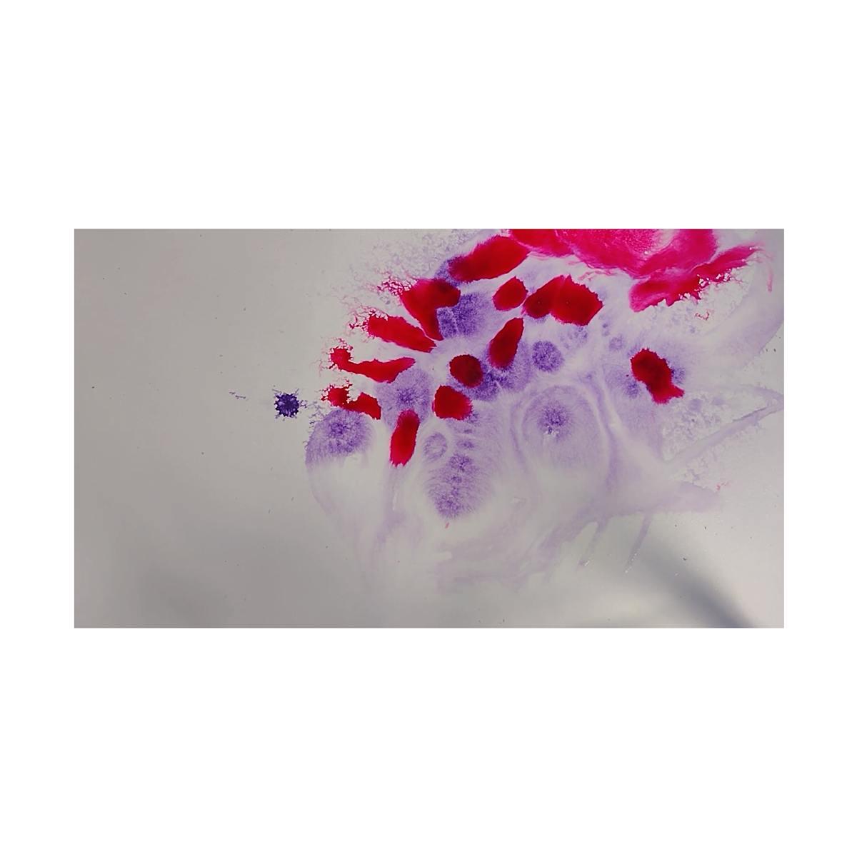 It Takes a While by Violet Austerlitz 