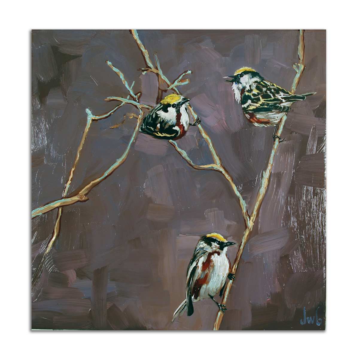 Warblers by Jared Gillett, Image 1.