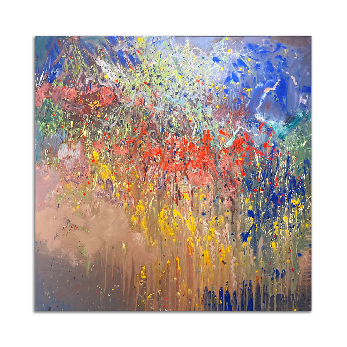 Where the Crawdads Sing by Jan Hyde 