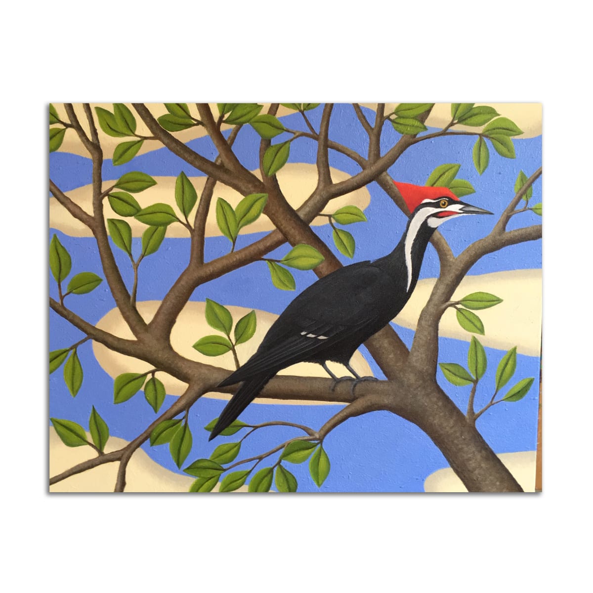 Woodpecker by Jane Troup 