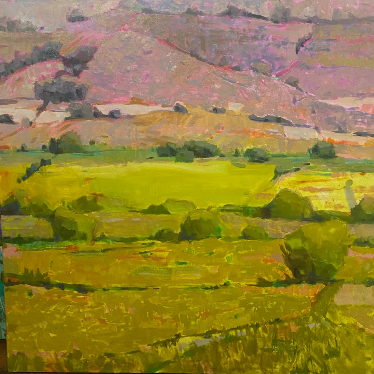 Provence Views by Jean Lee Cauthen  Image: Unframed 