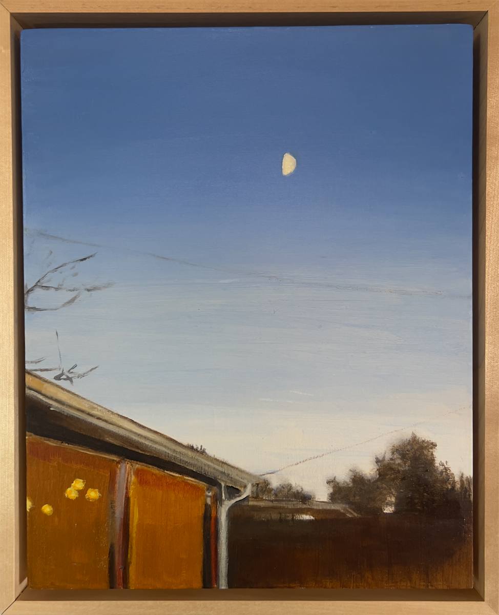 Evening in the Backyard by Janelle W Anderson, Image 1.