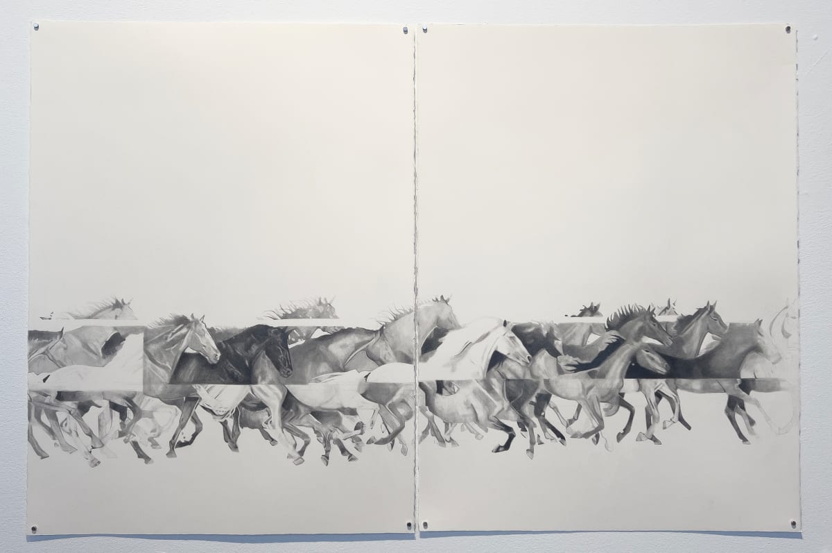 Split/Shift by Janelle W Anderson 