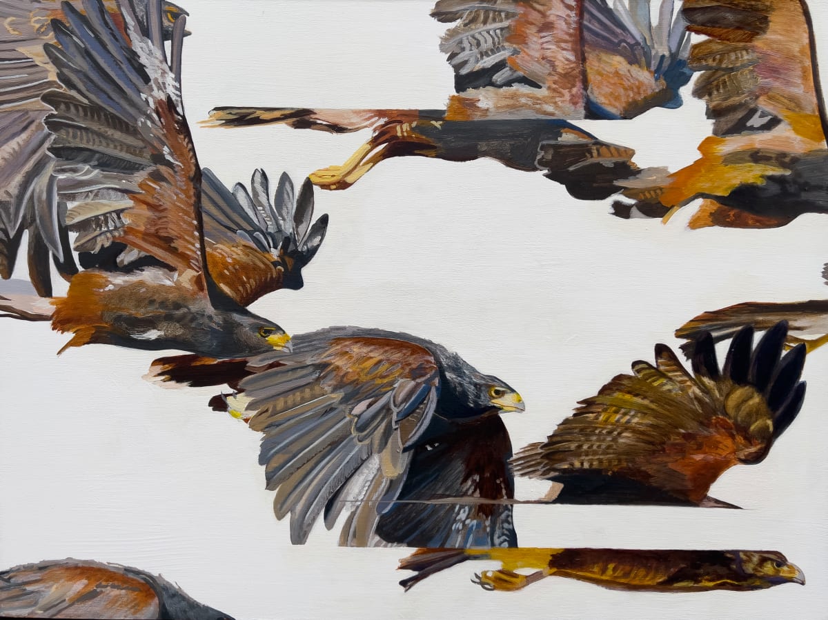 Pattern Recognition by Janelle W Anderson 