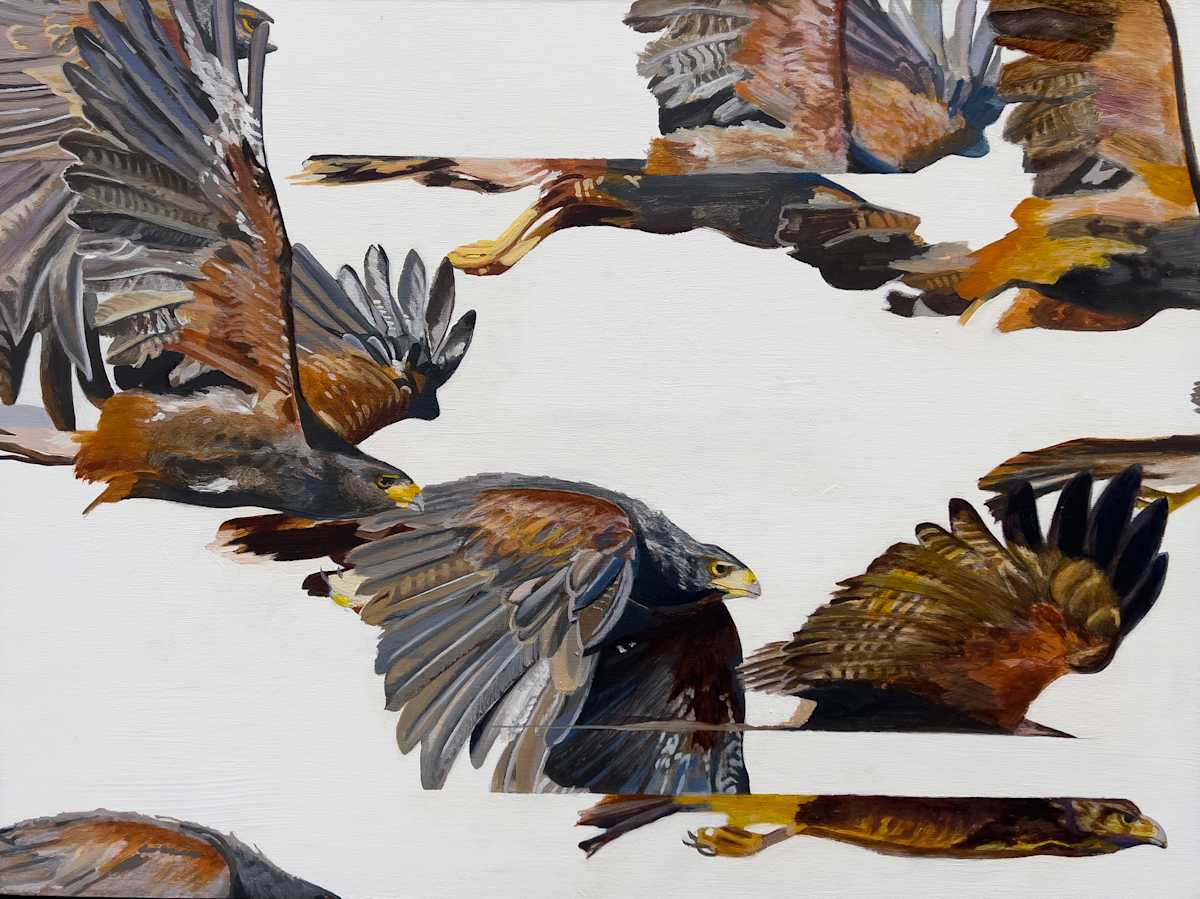 Pattern Recognition by Janelle W Anderson, Image 1.