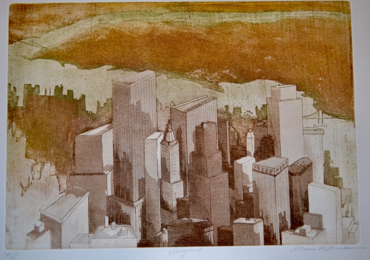 Viewpoint by Diana E. Birnbaum 