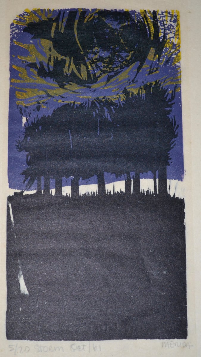 Storm by Carlos Merida, Image 4.