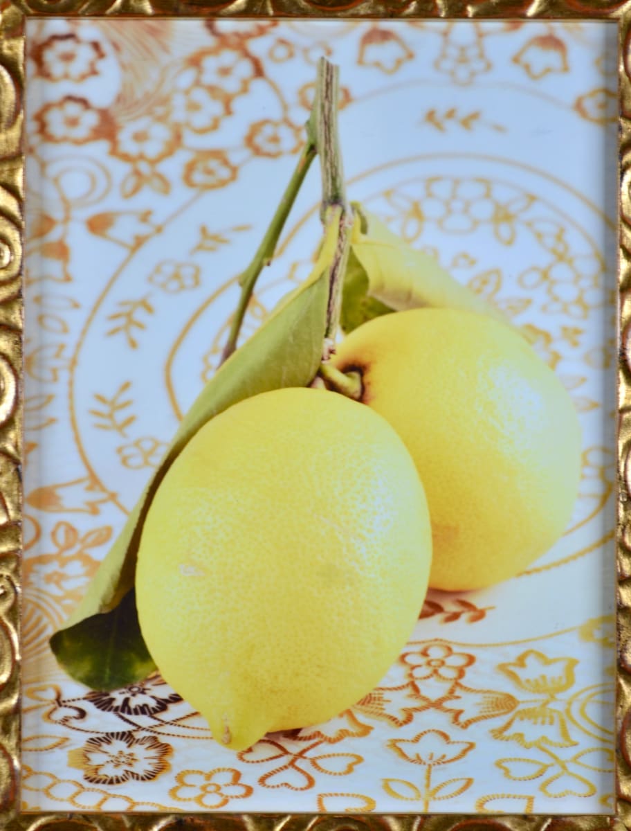 Untitled (Lemons on the Table) by Unknown 