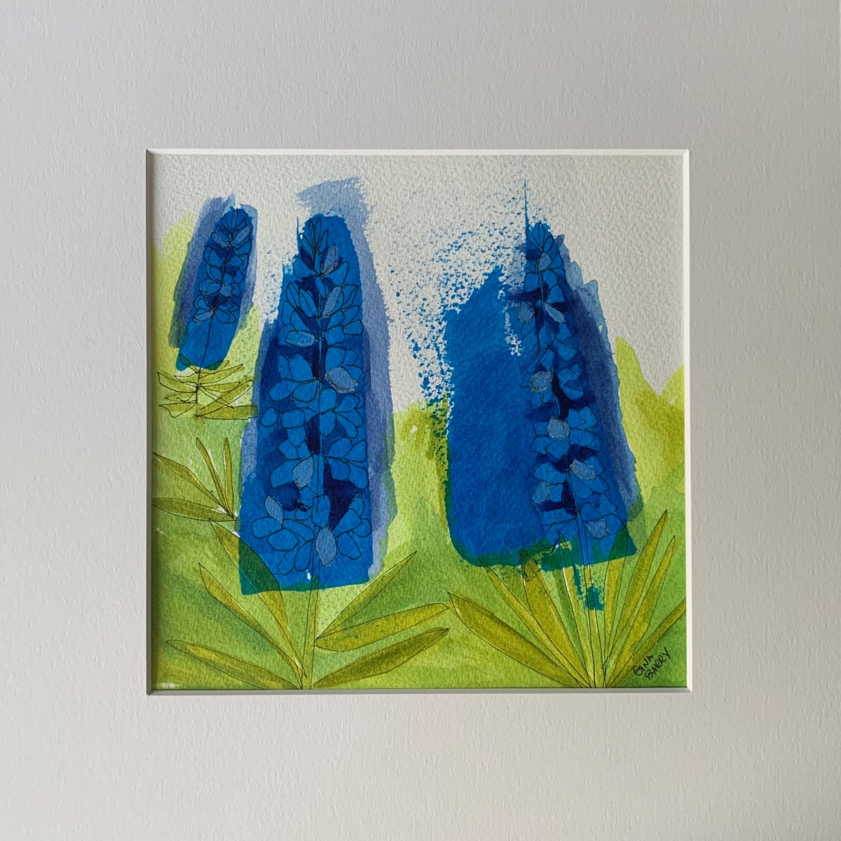 Silvery Lupine by Gina Barry 